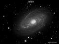 M 81 80 MINUTI C8 1250